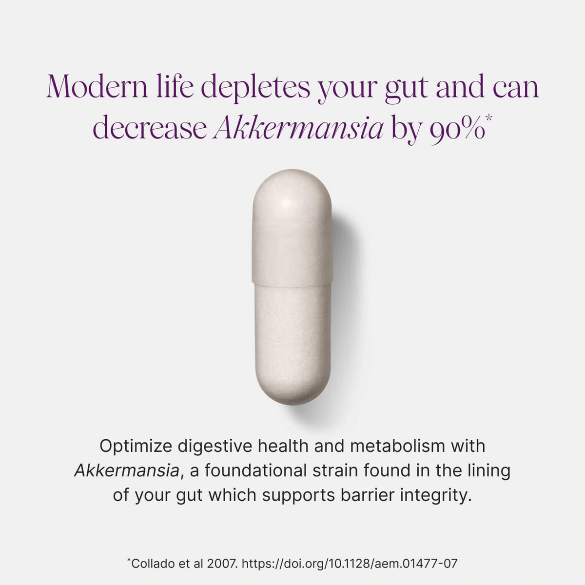 Akkermansia Probiotic